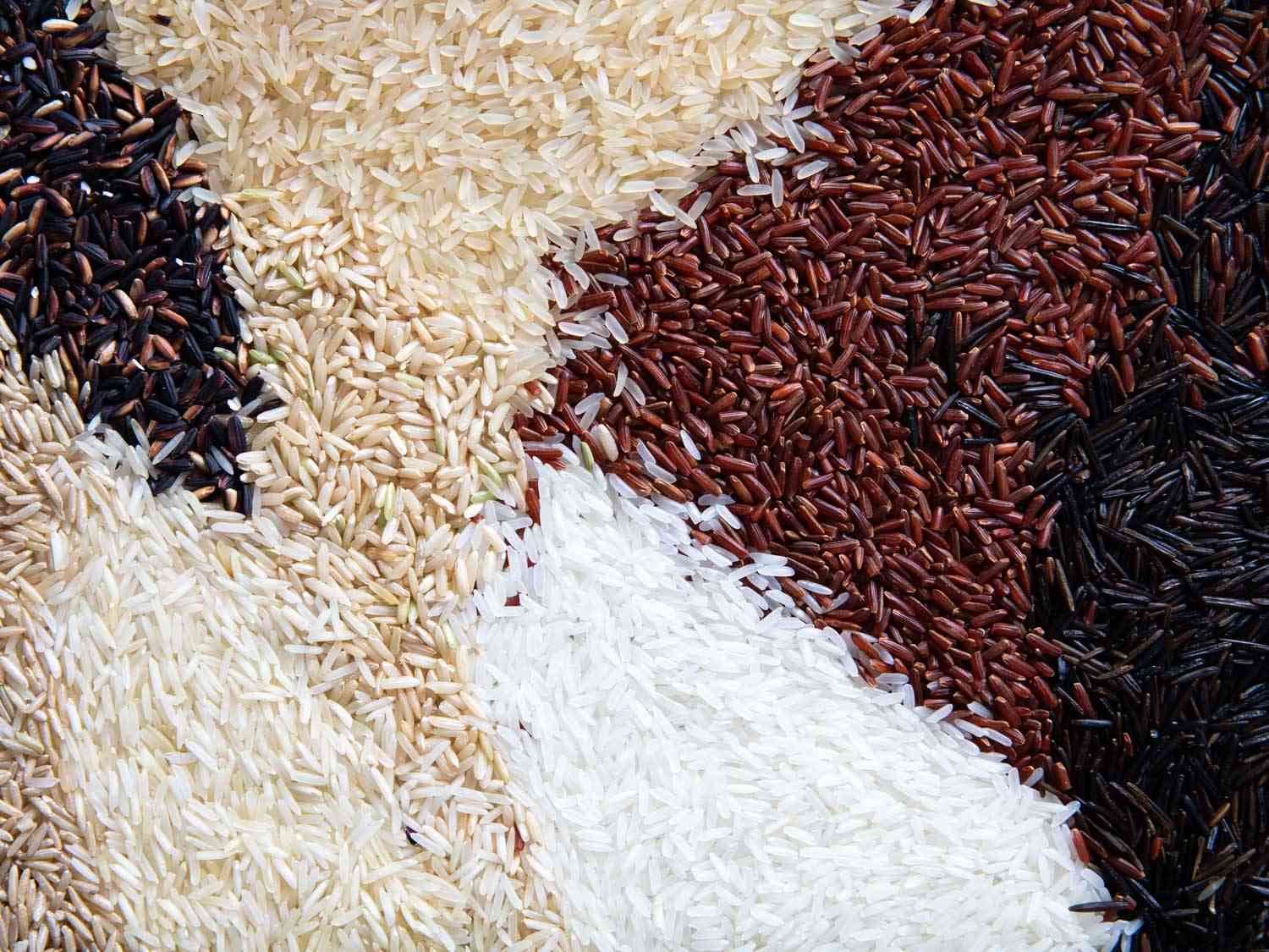 Rice varieties